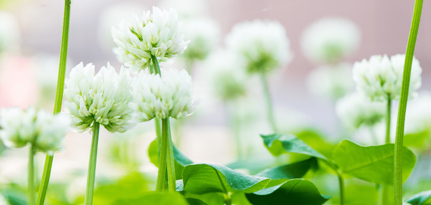 カウンセラー紹介