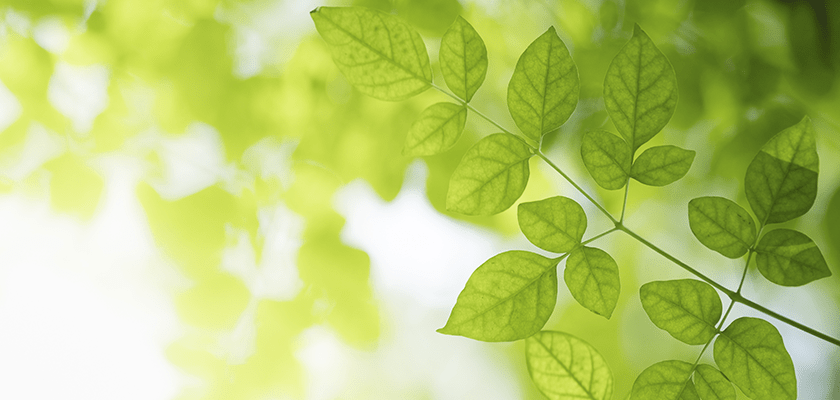 プライバシーポリシー